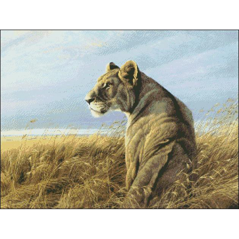Embroidery Vs Cross Stitch - DW552 Cross Stitch Kits Stich Embroidery
