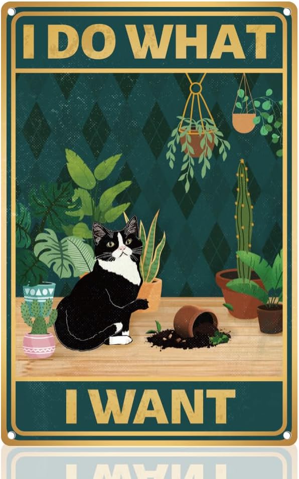 Y1,Cute Cat Breaks Flowerpot S - Embroidery Garden review and price