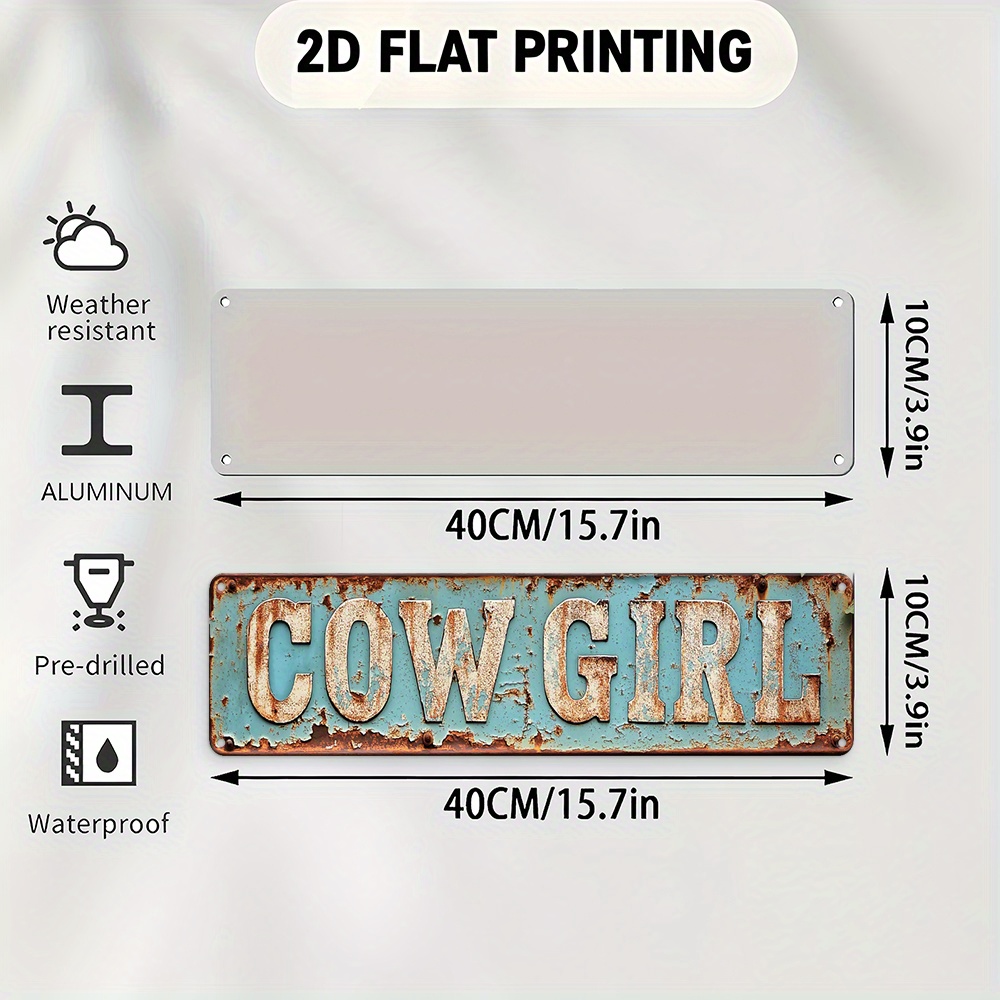 2D Metal Cowgirl Wall Art - Vi - Embroidery Garden review and price