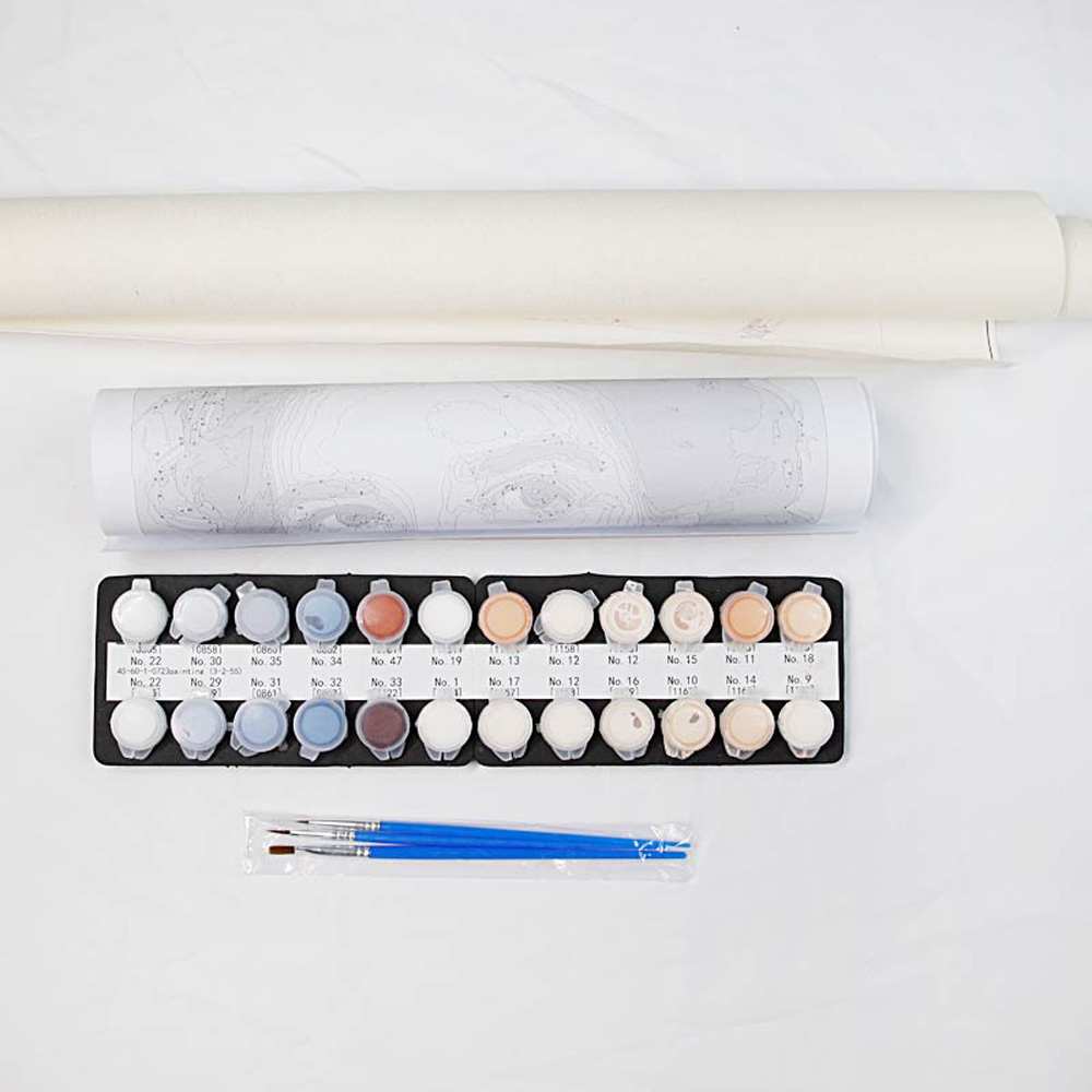Painting by Numbers For Adult  - Embroidery Translate review and price